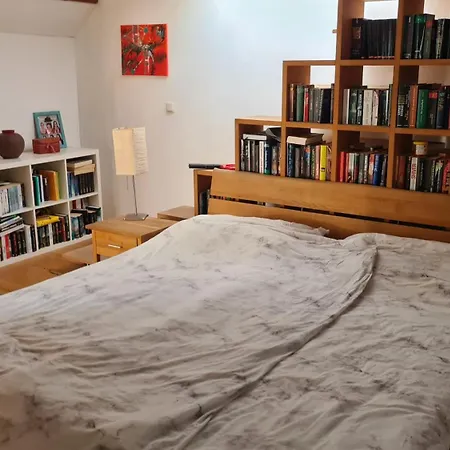 Spacious 4-bedroom Loft * Atzbach