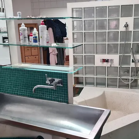 Apartamento Spacious 4-bedroom Loft Atzbach